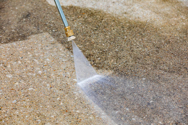 Best Driveway Pressure Washing  in Falfurrias, TX